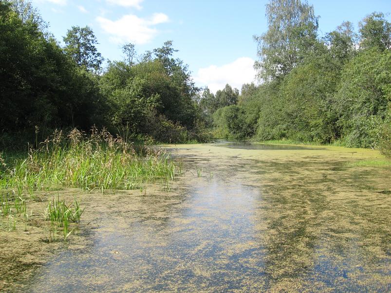 P�ltsamaa j�el 2008