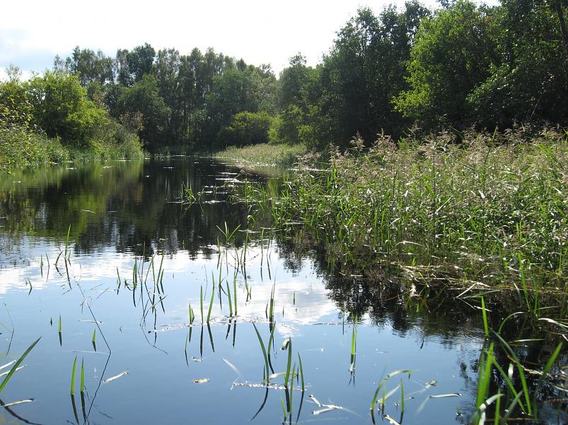 P�ltsamaa j�el 2008