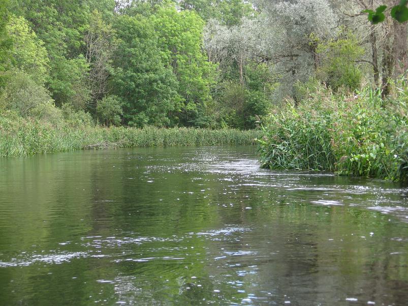 P�ltsamaa j�el 2008