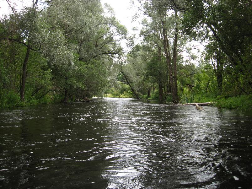 P�ltsamaa j�el 2008