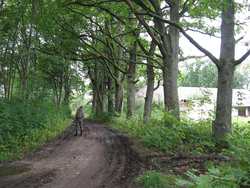 P�ltsamaa j�el 2008