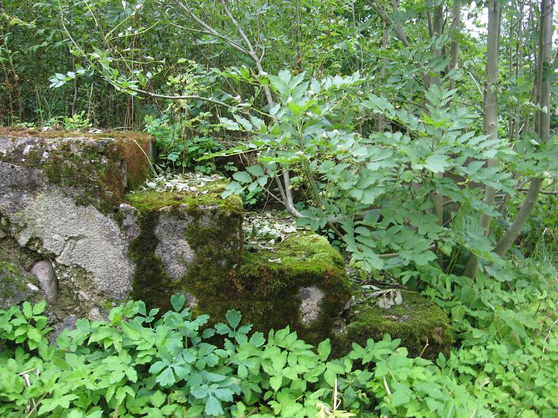 P�ltsamaa j�el 2008