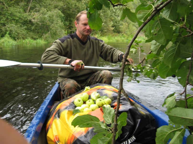 P�ltsamaa j�el 2008