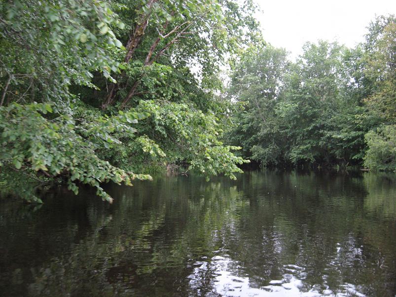 P�ltsamaa j�el 2008