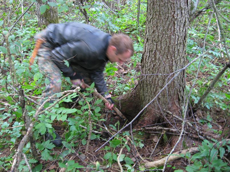 P�ltsamaa j�el 2008