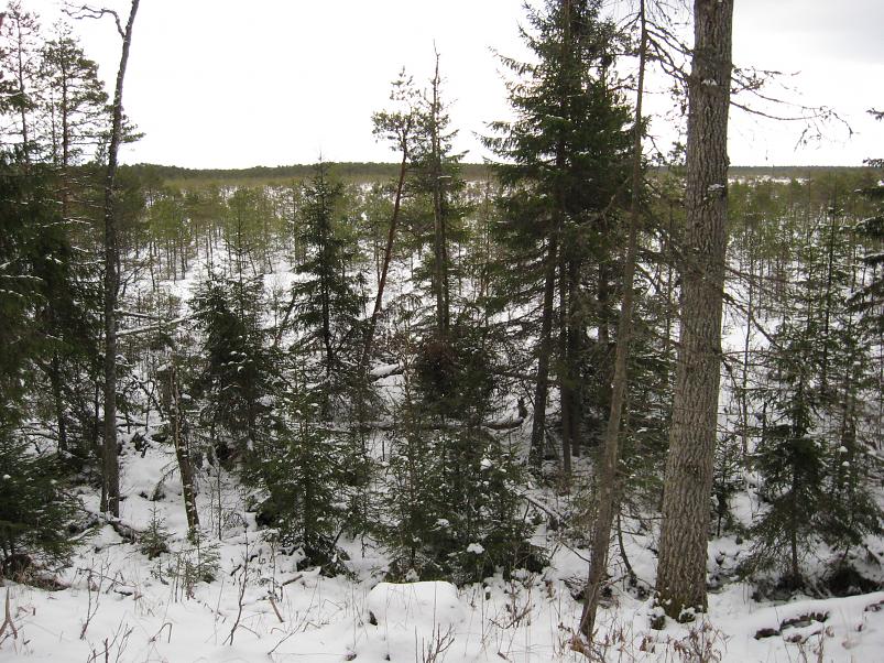 L�una-K�rvemaal 2008