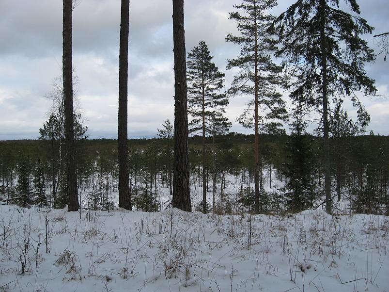 L�una-K�rvemaal 2008