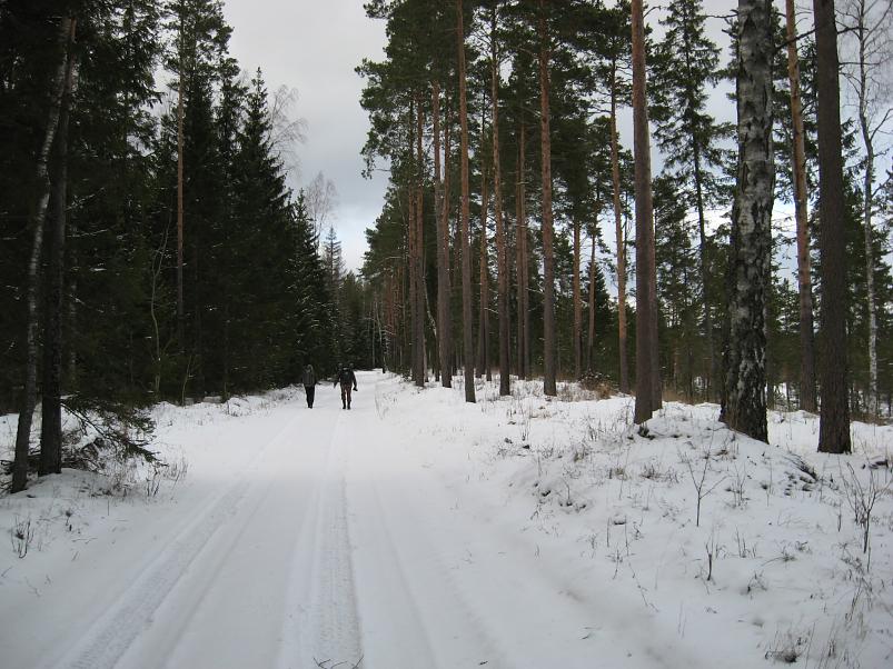 L�una-K�rvemaal 2008