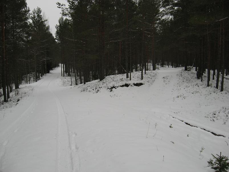 L�una-K�rvemaal 2008