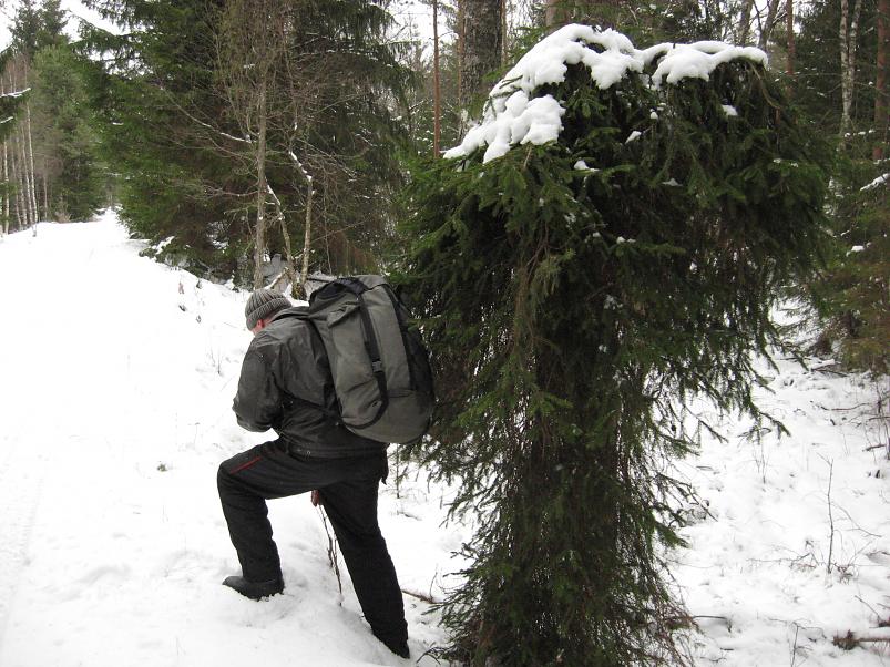 L�una-K�rvemaal 2008