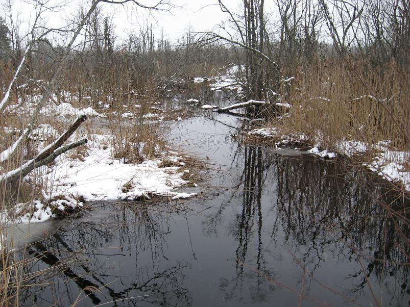 L�una-K�rvemaal 2008