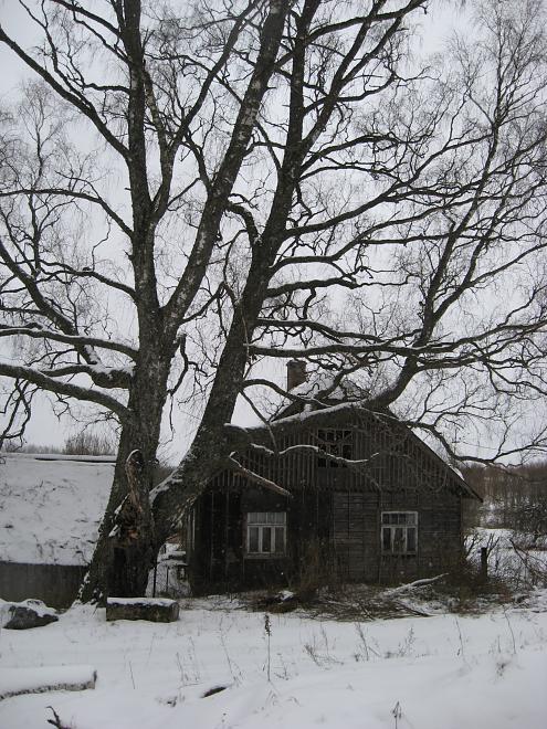 L�una-K�rvemaal 2008