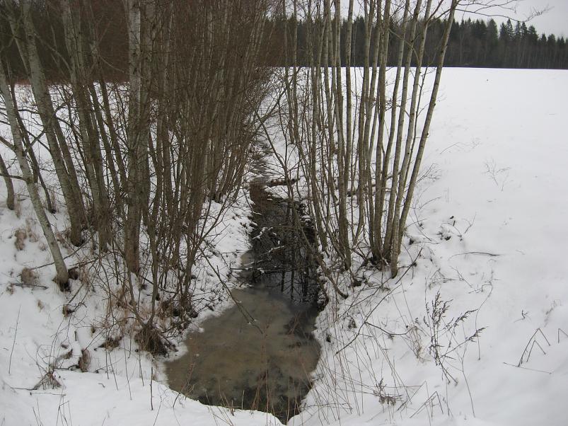 L�una-K�rvemaal 2008