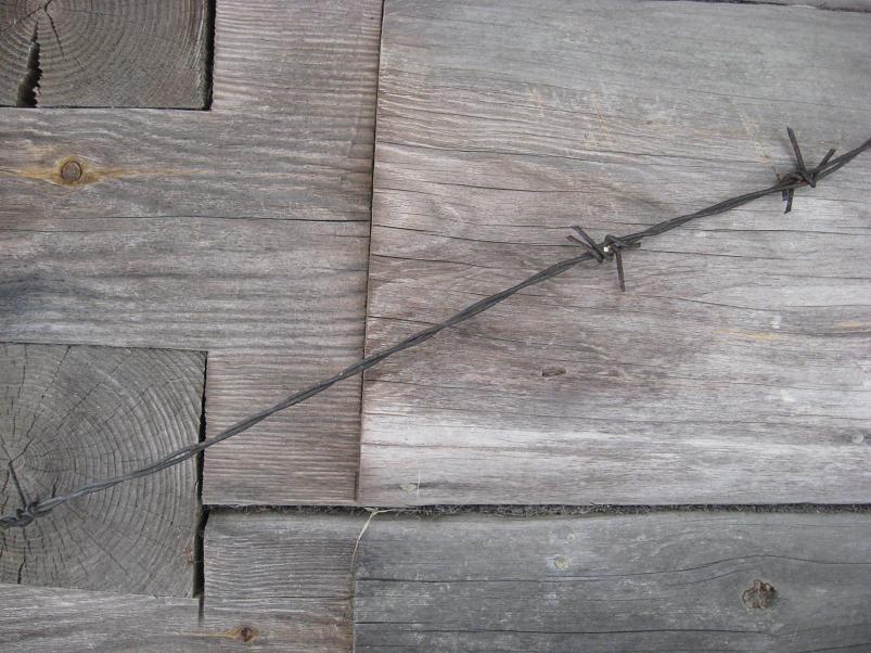 L�una-K�rvemaal 2008