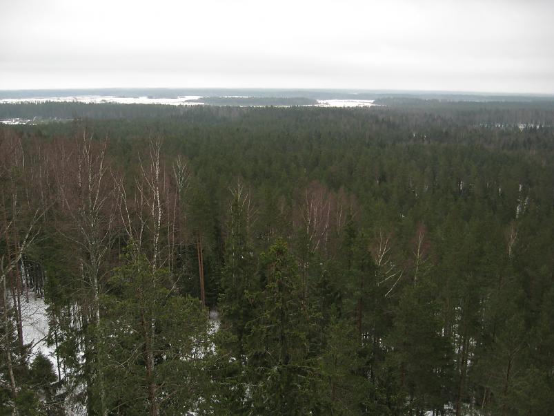 L�una-K�rvemaal 2008