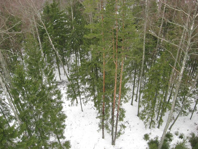 L�una-K�rvemaal 2008