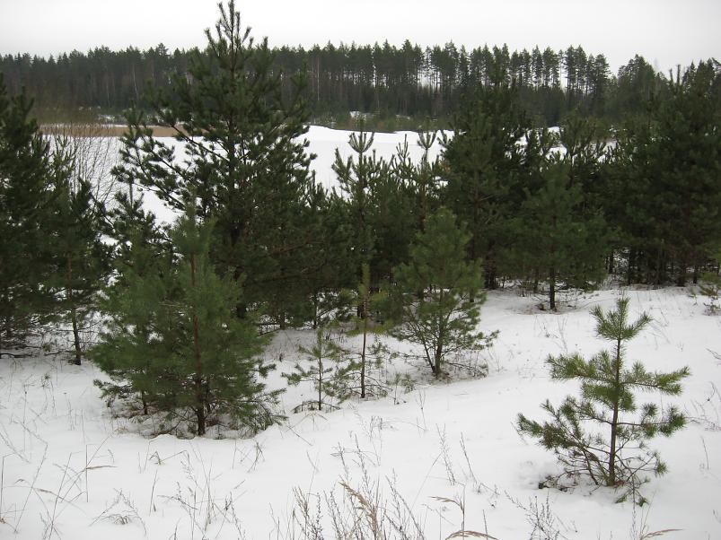 L�una-K�rvemaal 2008