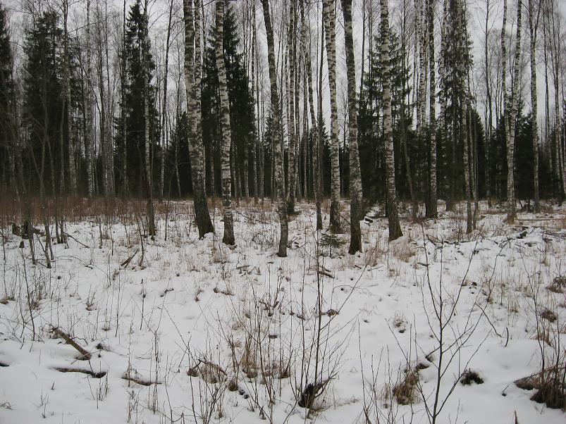 L�una-K�rvemaal 2008