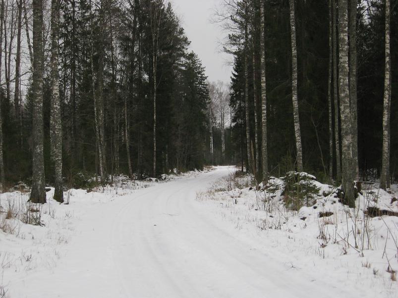 L�una-K�rvemaal 2008