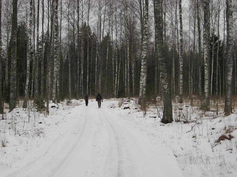 L�una-K�rvemaal 2008