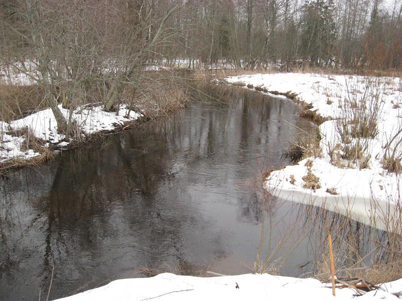 L�una-K�rvemaal 2008