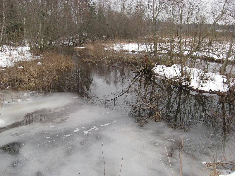 L�una-K�rvemaal 2008