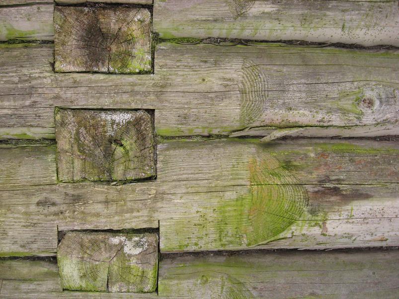 L�una-K�rvemaal 2008