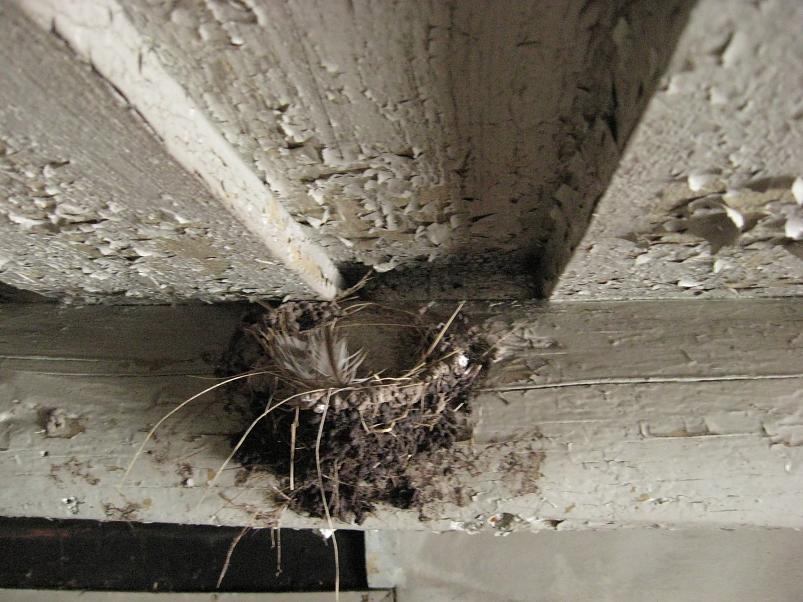 L�una-K�rvemaal 2008