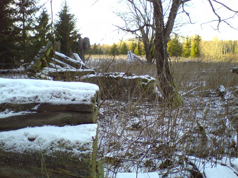 Sinij�rve talukohad 2008