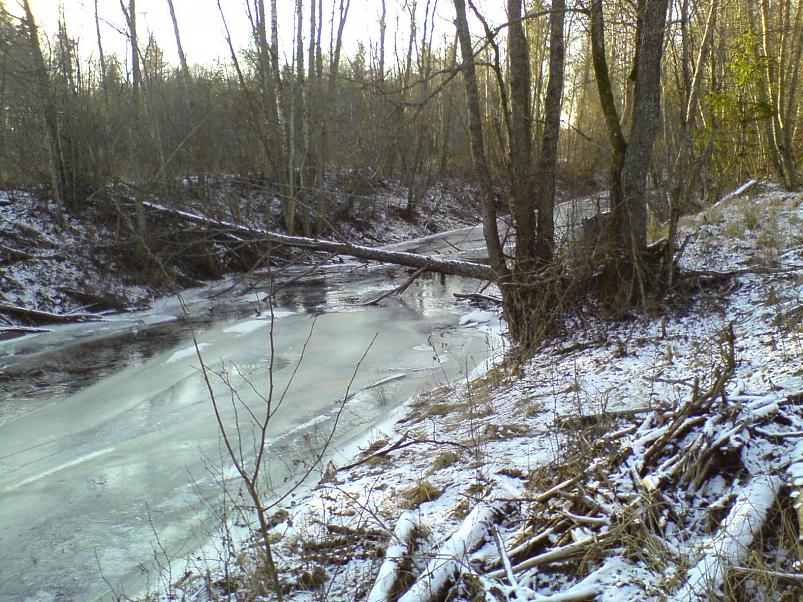 Sinij�rve talukohad 2008