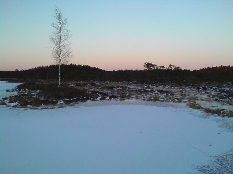 Sinij�rve talukohad 2008