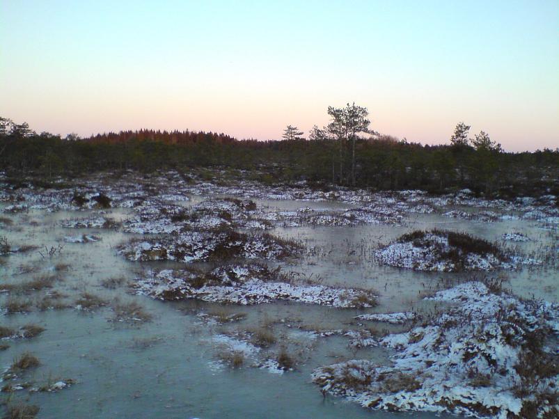 Sinij�rve talukohad 2008