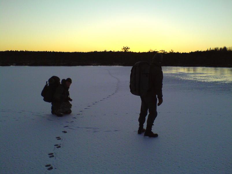 Sinij�rve talukohad 2008