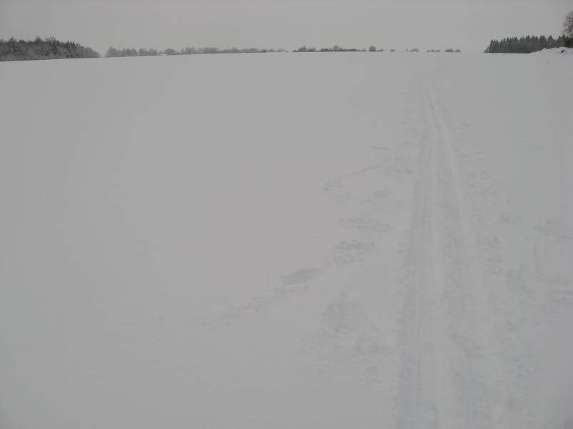 Vaali suusamatk 2011