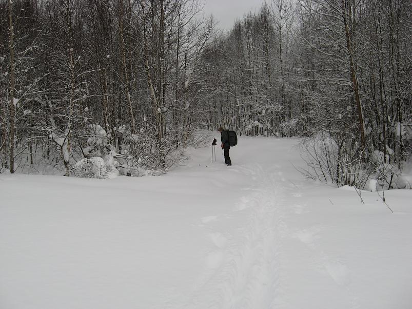 Vaali suusamatk 2011