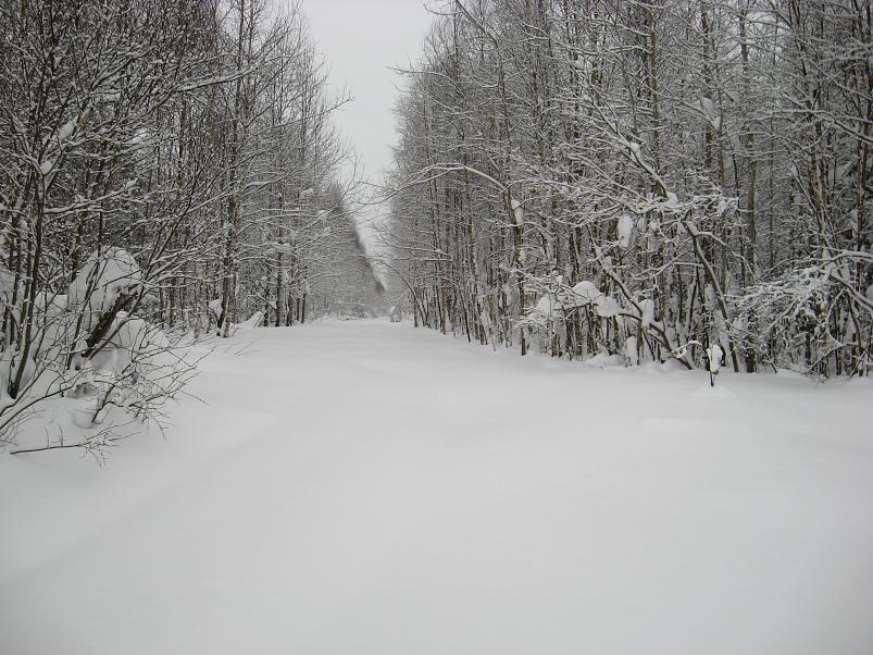 Vaali suusamatk 2011