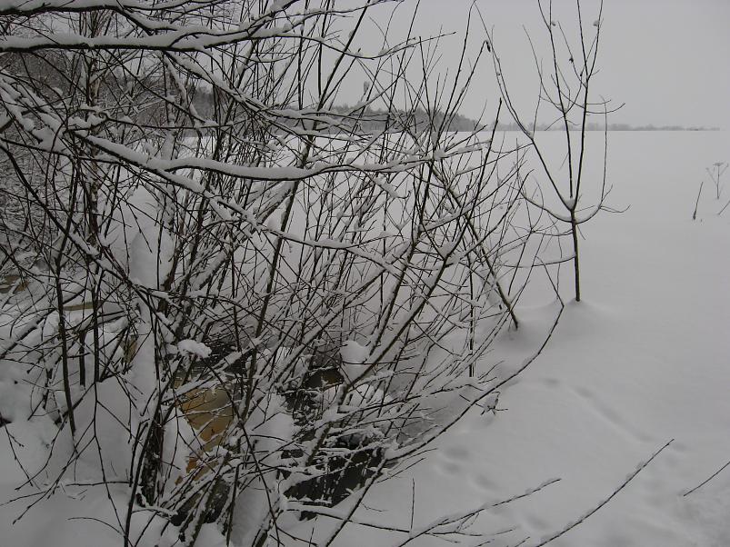 Vaali suusamatk 2011