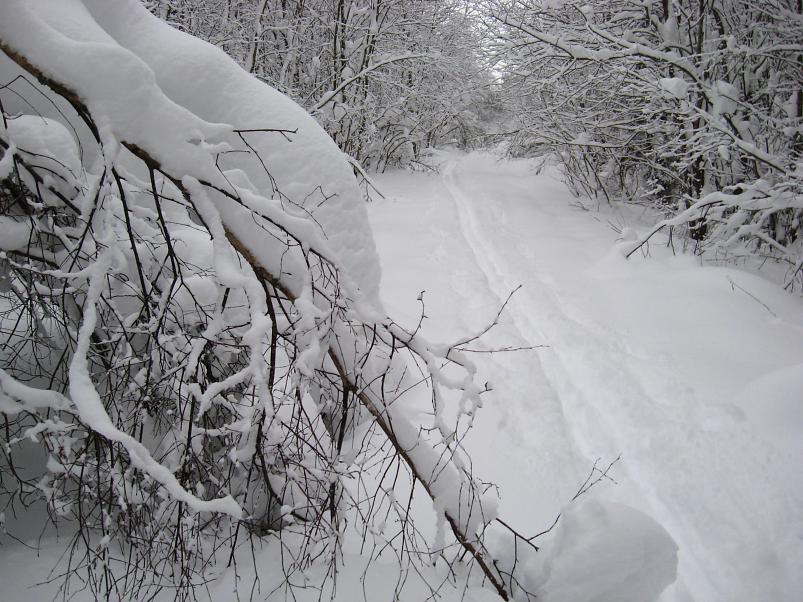 Vaali suusamatk 2011