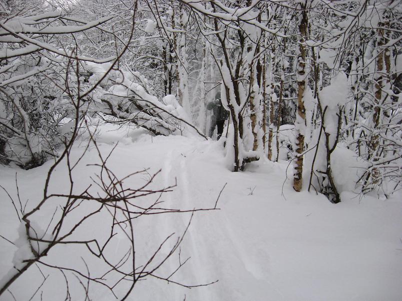 Vaali suusamatk 2011