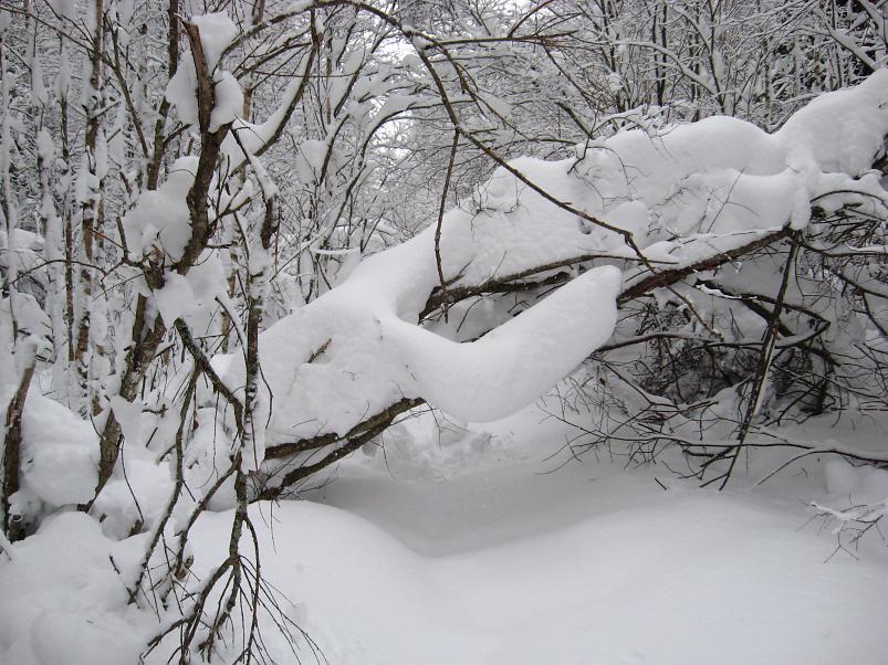 Vaali suusamatk 2011