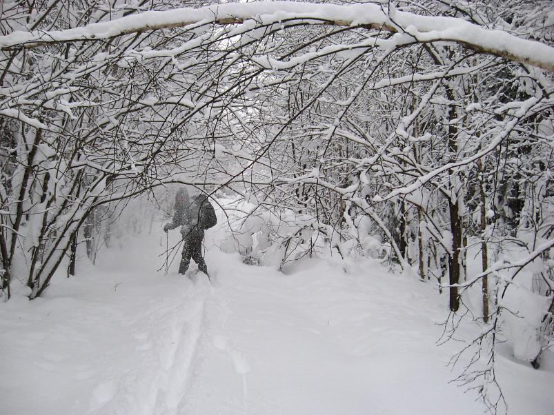 Vaali suusamatk 2011