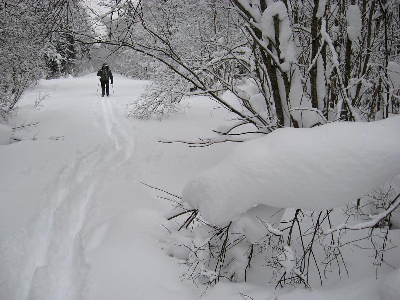 Vaali suusamatk 2011