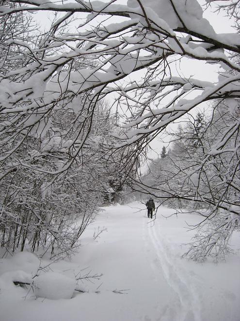 Vaali suusamatk 2011