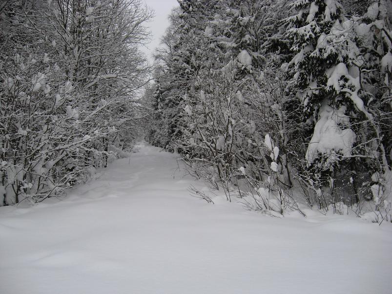 Vaali suusamatk 2011