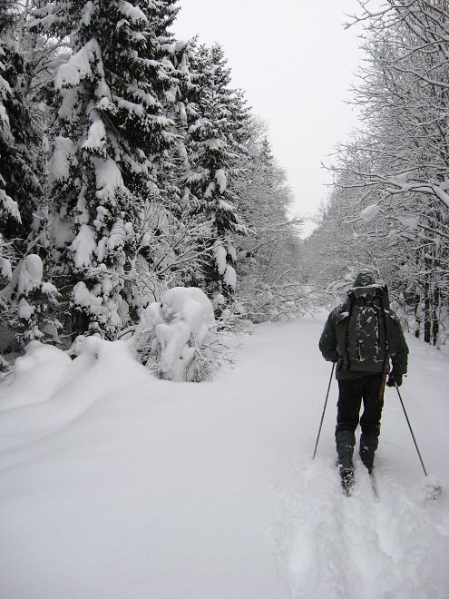 Vaali suusamatk 2011