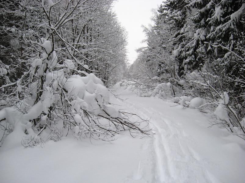 Vaali suusamatk 2011