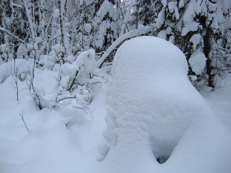 Vaali suusamatk 2011