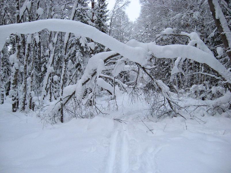 Vaali suusamatk 2011