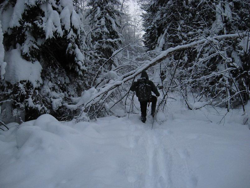 Vaali suusamatk 2011