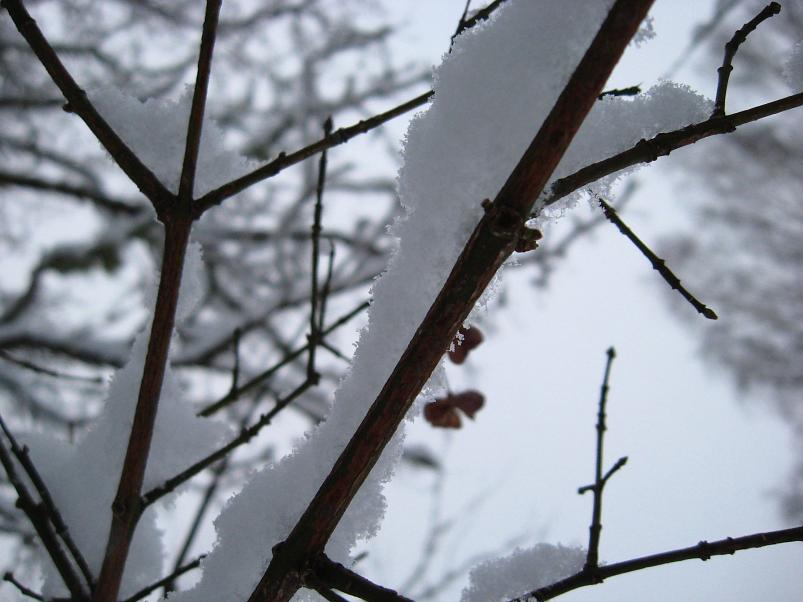 Vaali suusamatk 2011